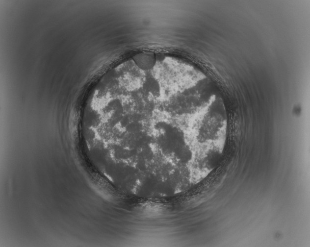 X0000116790742201001151101