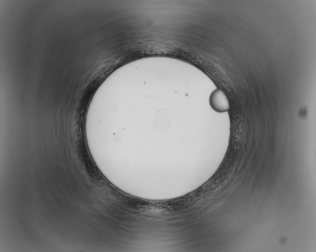 X0000116790743201001151101