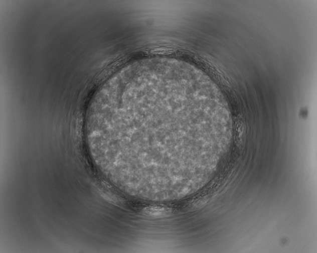 X0000116790745201001151101
