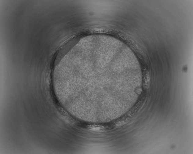 X0000116790746201001151101