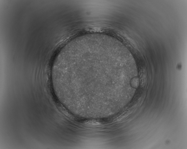 X0000116790747201001151101