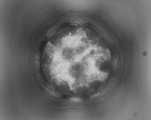 X0000116790749201001151101