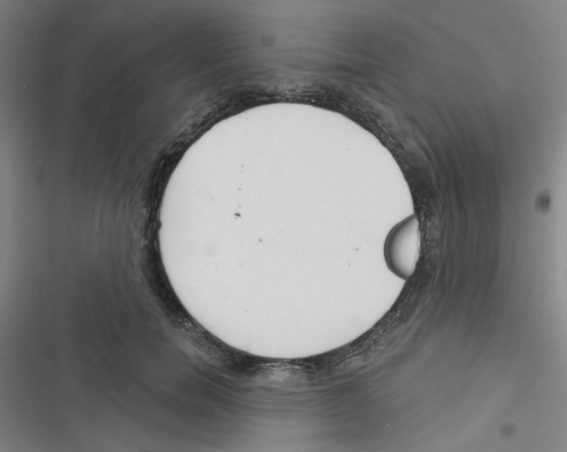 X0000116790750201001151101