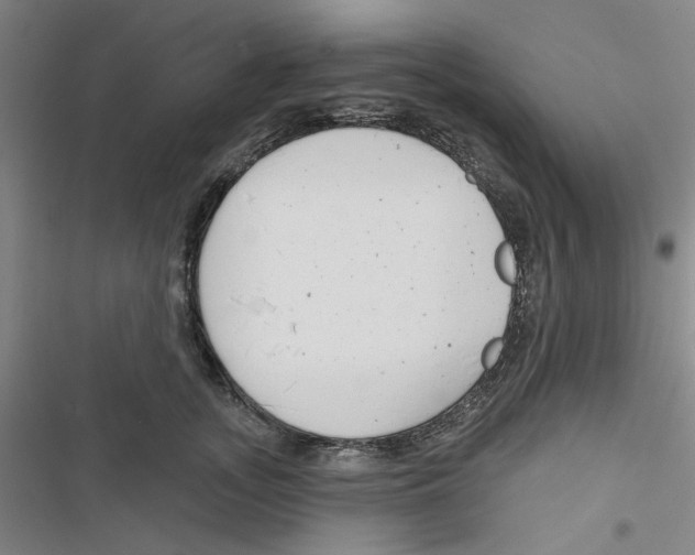 X0000116790755201001151101