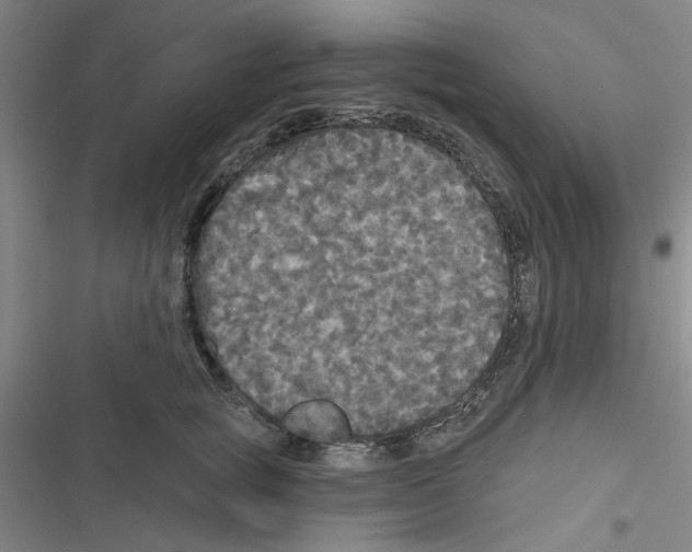 X0000116790757201001151101