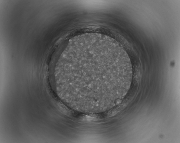 X0000116790758201001151101