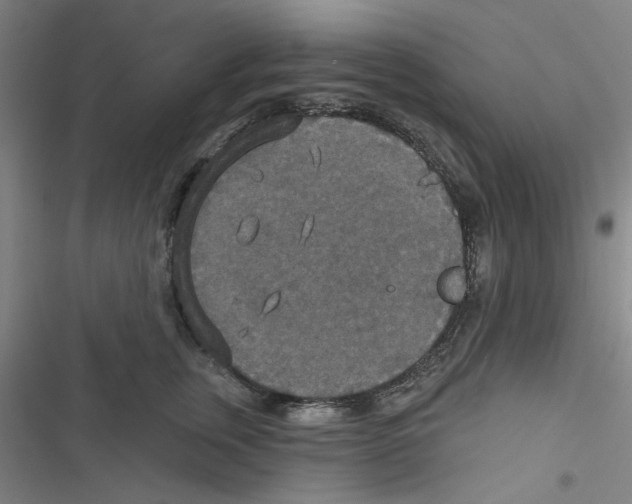 X0000116790759201001151101