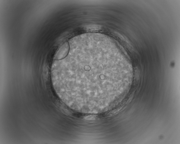 X0000116790761201001151101