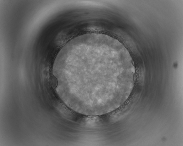 X0000116790762201001151101