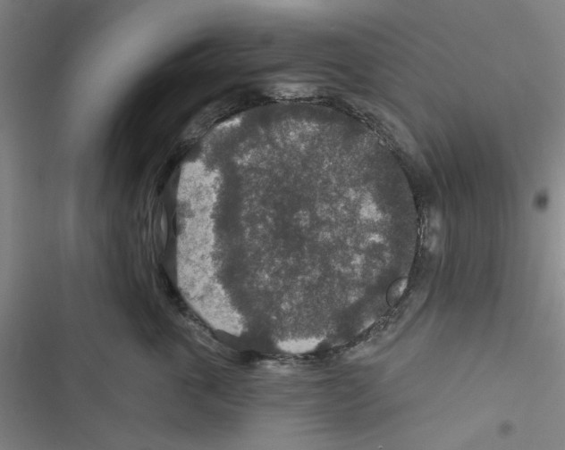 X0000116790763201001151101