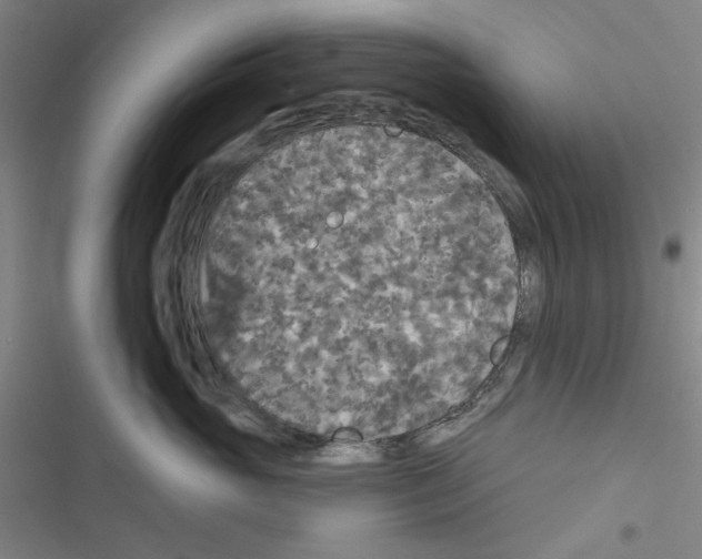 X0000116790765201001151101