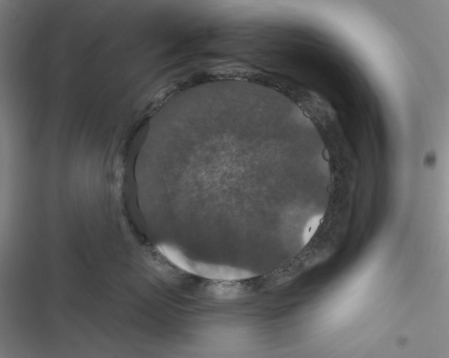 X0000116790767201001151101