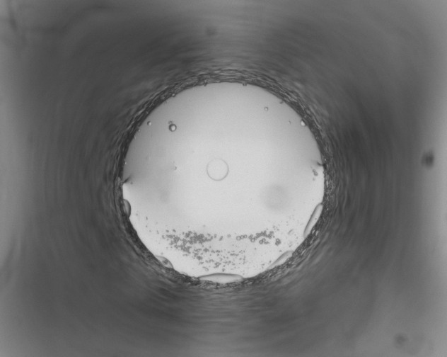 X0000116790769201001151101