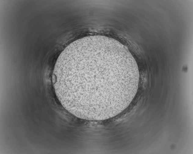 X0000116790770201001151101