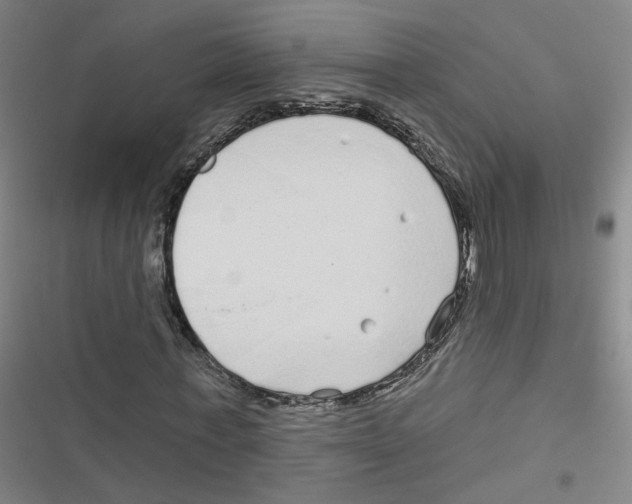 X0000116790771201001151101