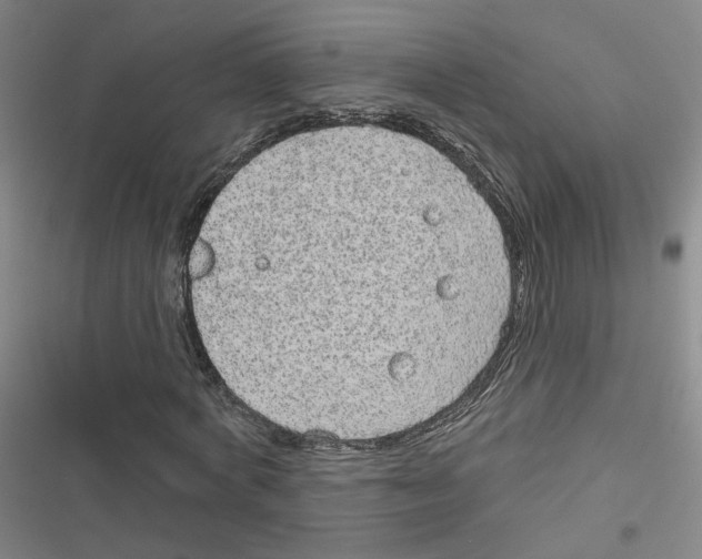 X0000116790772201001151101