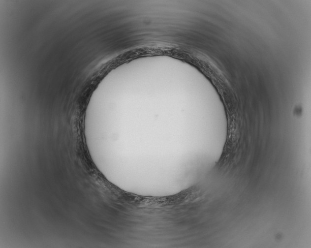X0000116790773201001151101