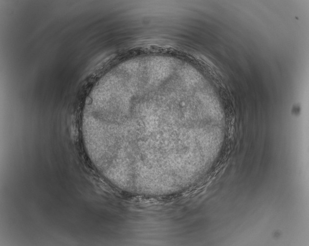 X0000116790774201001151101