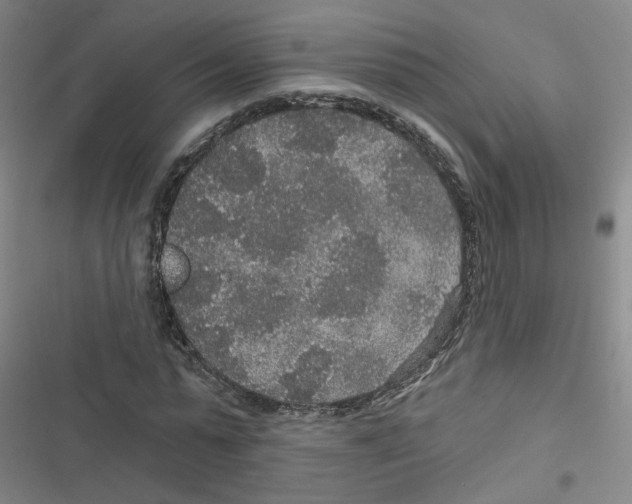 X0000116790775201001151101