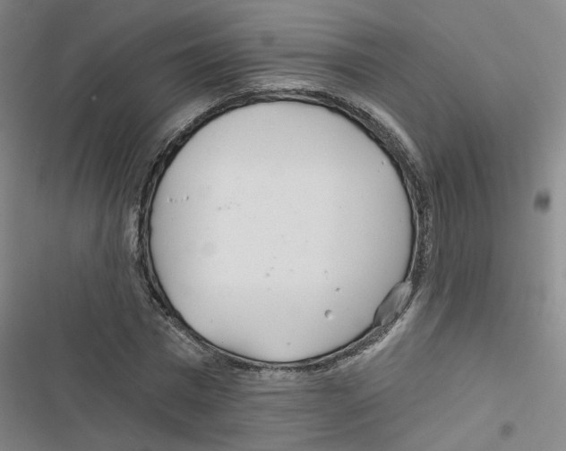 X0000116790777201001151101