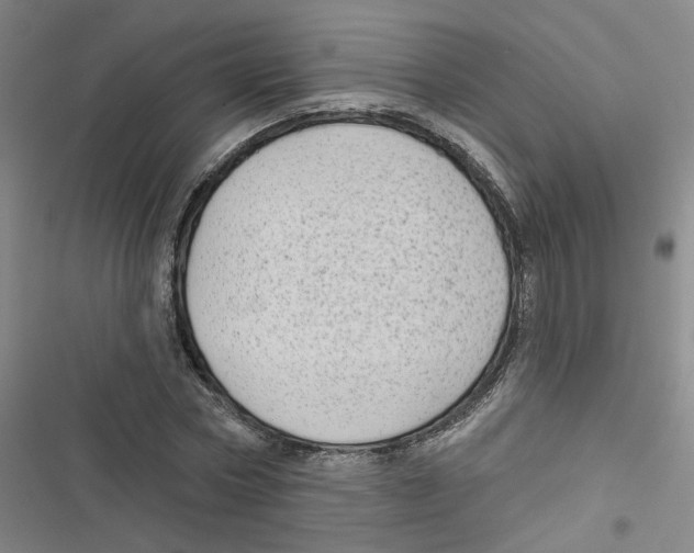 X0000116790778201001151101