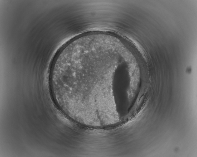 X0000116790779201001151101