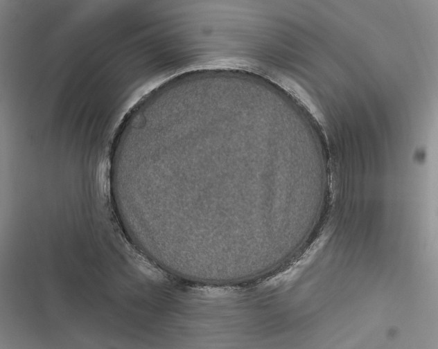 X0000116790781201001151101