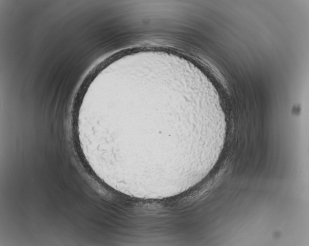 X0000116790784201001151101