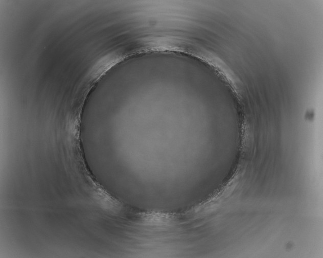 X0000116790785201001151101