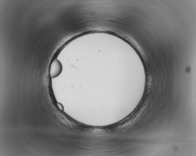 X0000116790787201001151100