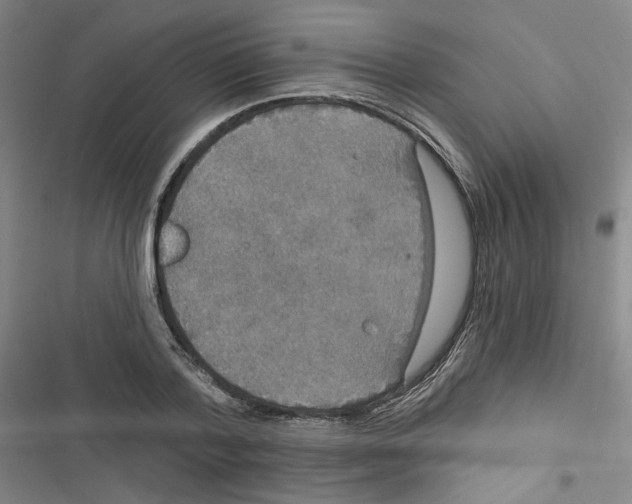 X0000116790788201001151100