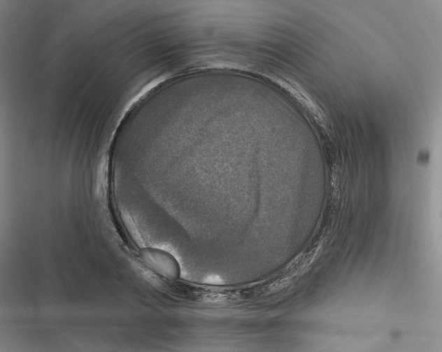 X0000116790790201001151100