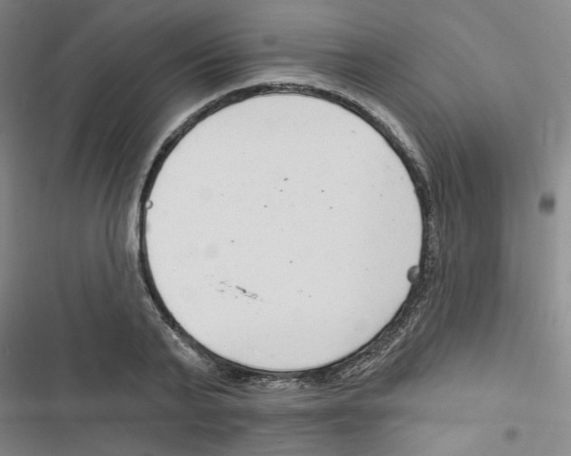X0000116790791201001151100