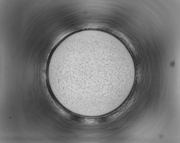 X0000116790794201001151100