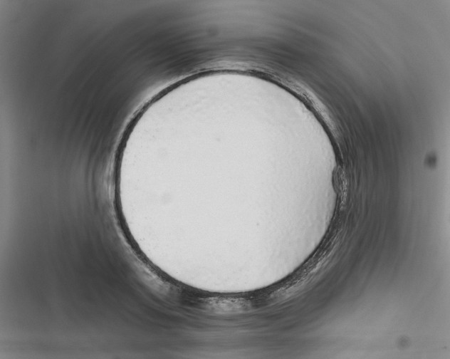 X0000116790795201001151100