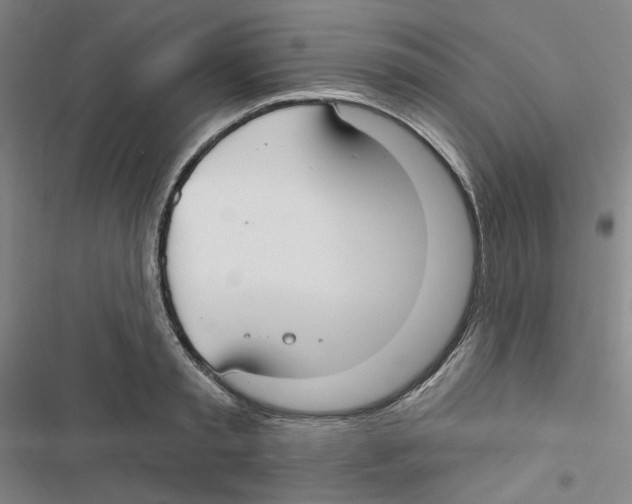 X0000116790797201001151100