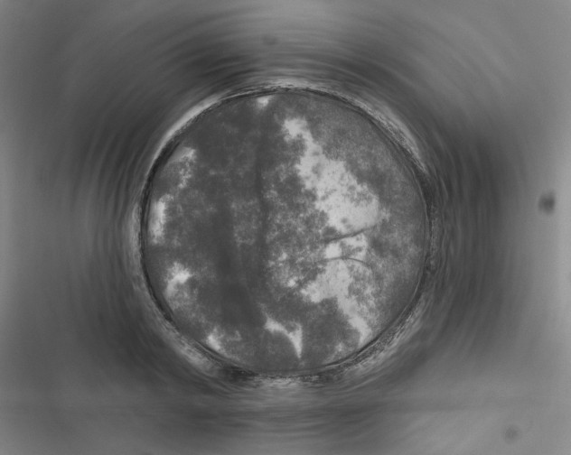 X0000116790798201001151100