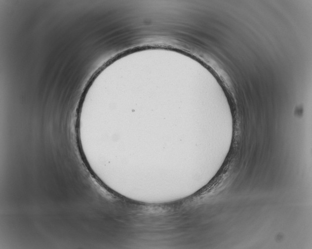 X0000116790799201001151100