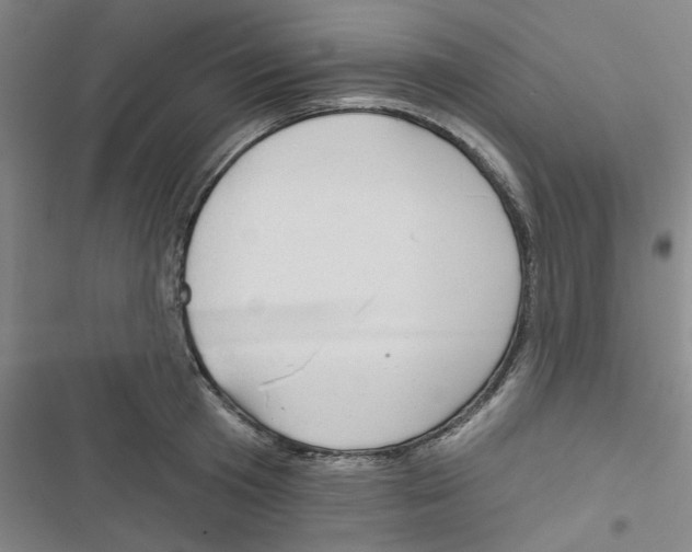 X0000116790801201001151100