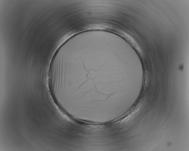 X0000116790802201001151100