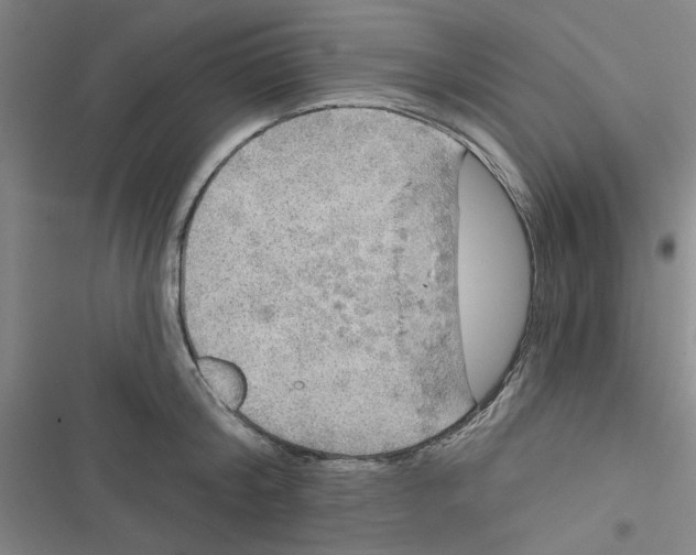 X0000116790804201001151100