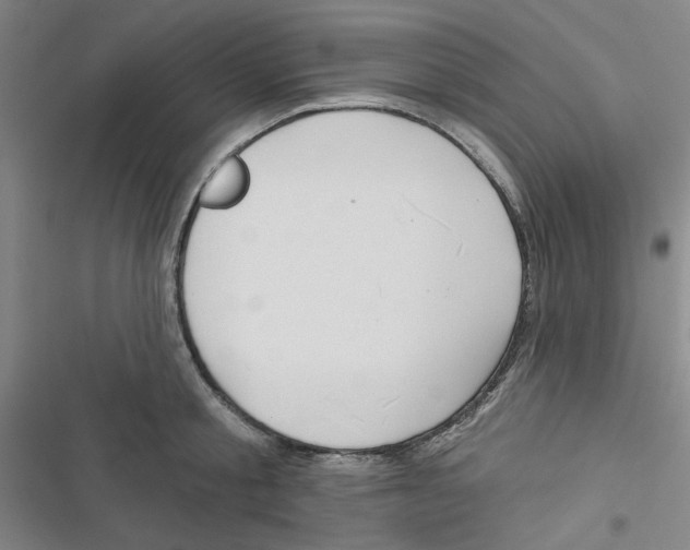 X0000116790805201001151100