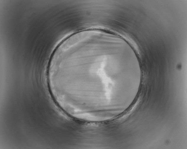 X0000116790806201001151100