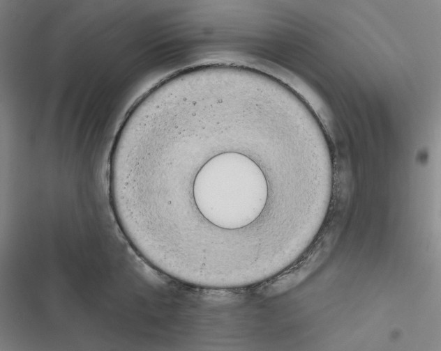 X0000116790807201001151100