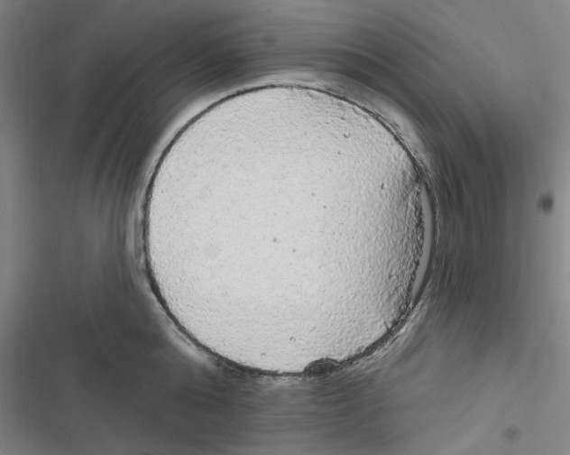 X0000116790808201001151100