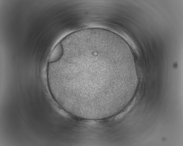 X0000116790814201001151100