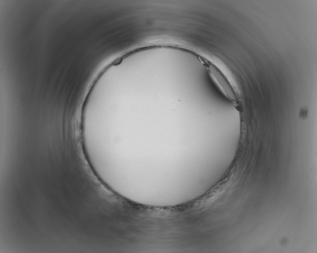 X0000116790815201001151100