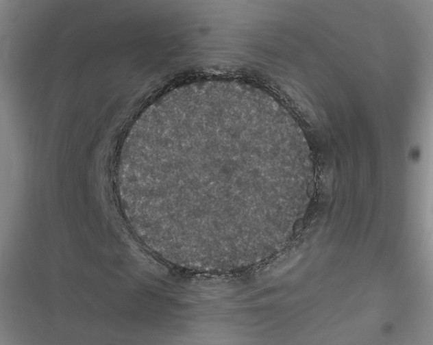 X0000116790817201001151059