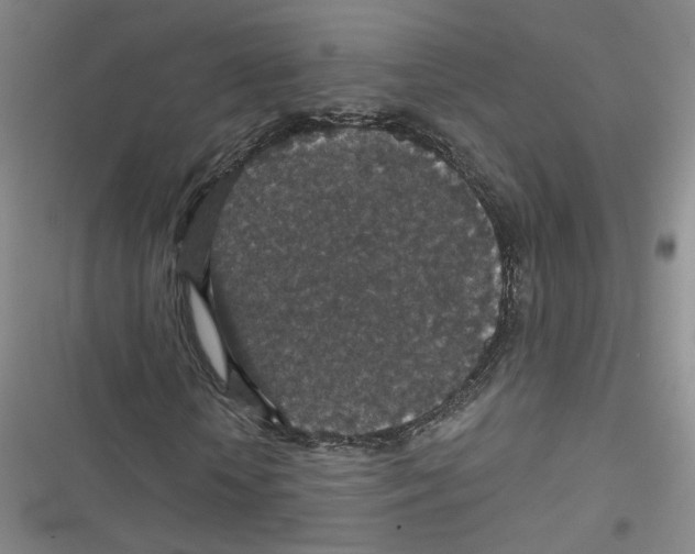 X0000116790818201001151059