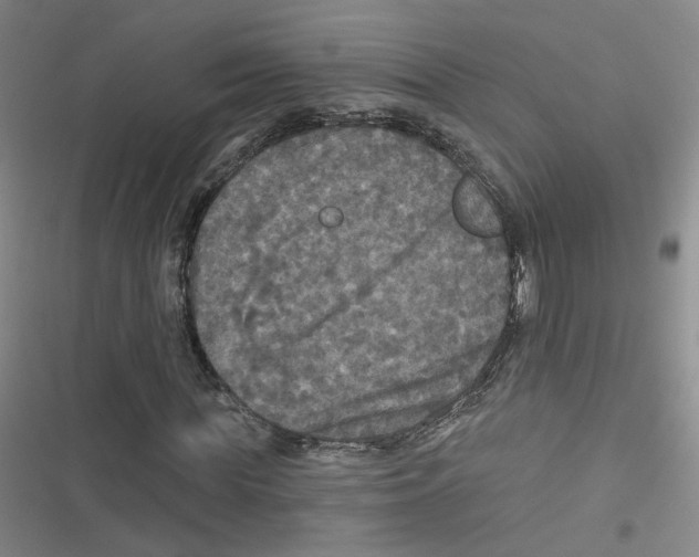 X0000116790819201001151059